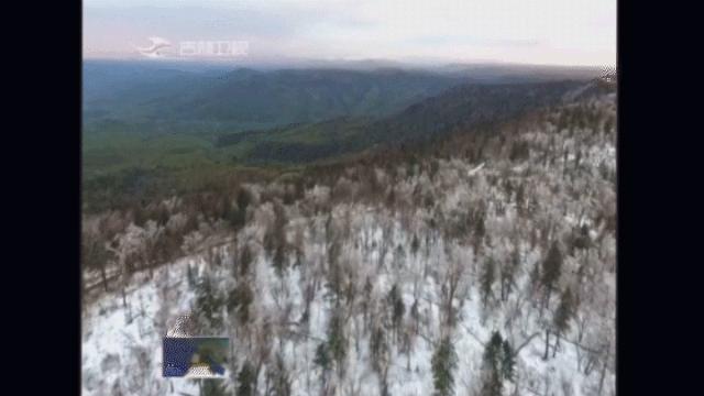 全国新闻最新消息概览，时事动态速递
