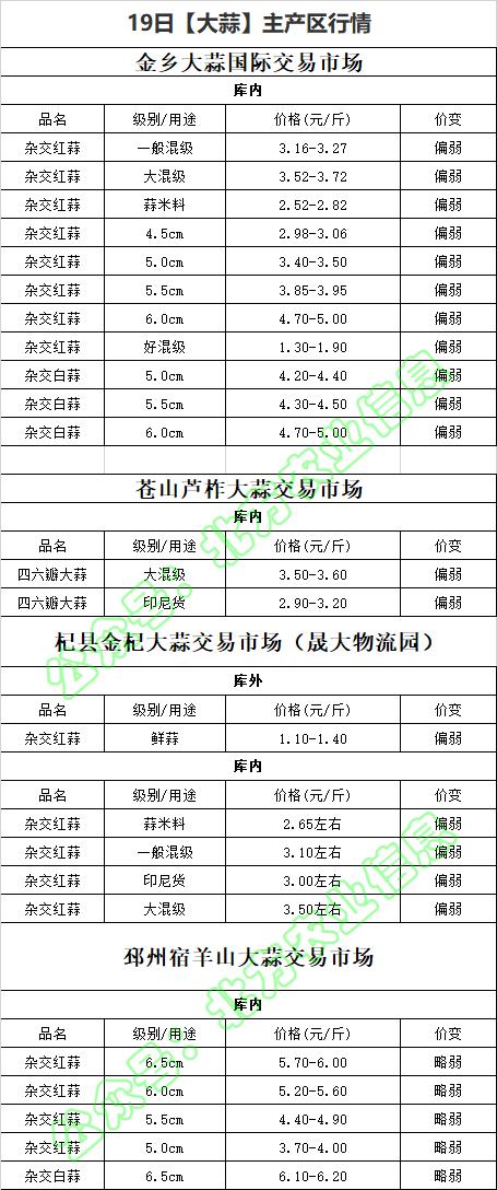 全国大蒜价格最新行情走势详解，如何把握动态与预测未来趋势