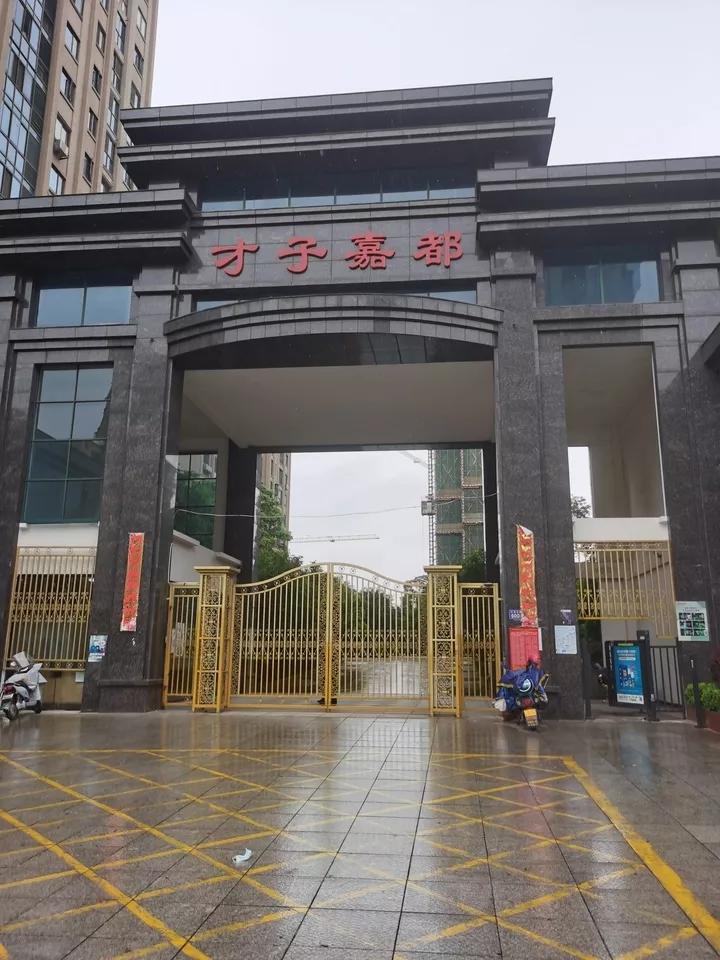 长沙楼市限购政策深度解析，最新消息与影响分析